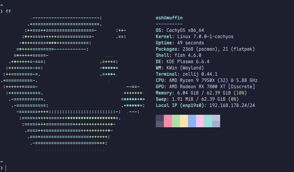 miss ashley f. stackinger 🏳️⚧️🇦🇹 tweet media