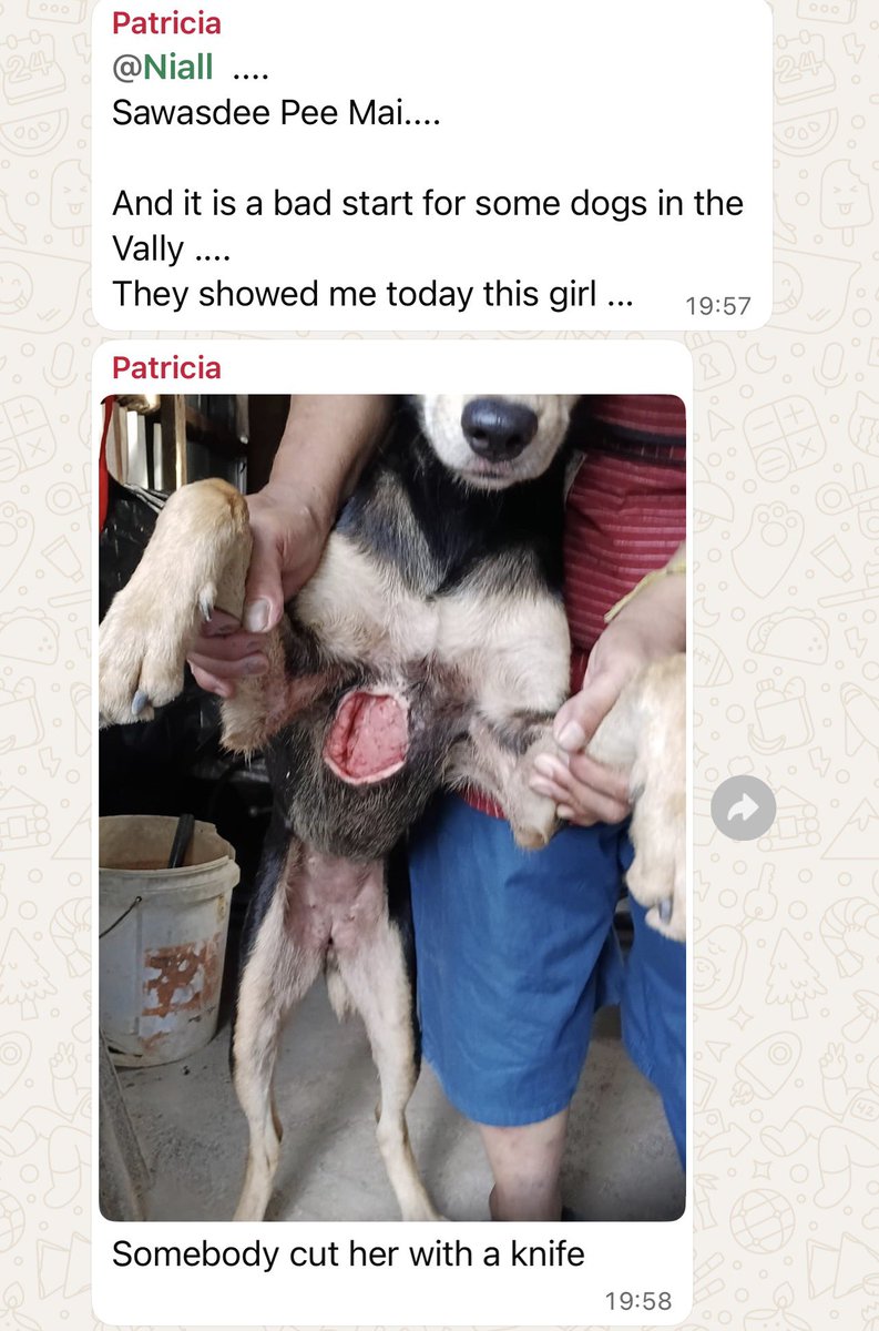 Niall Harbison tweet media