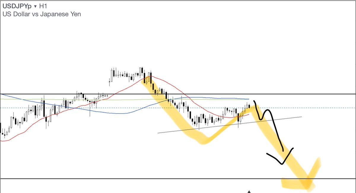 hayyo@相場の奴隷 tweet media