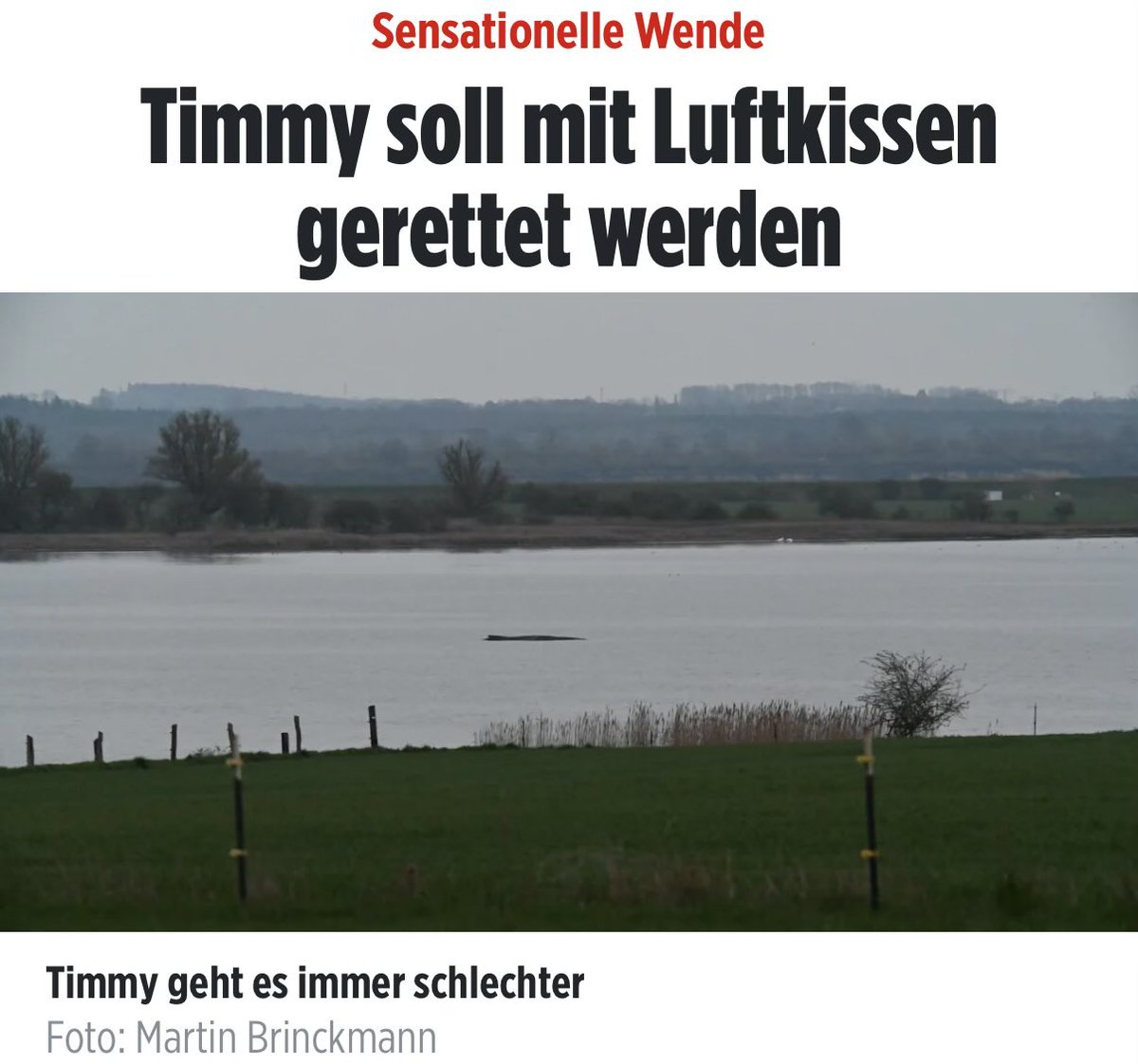 Daniel Eck 🇺🇦 tweet media