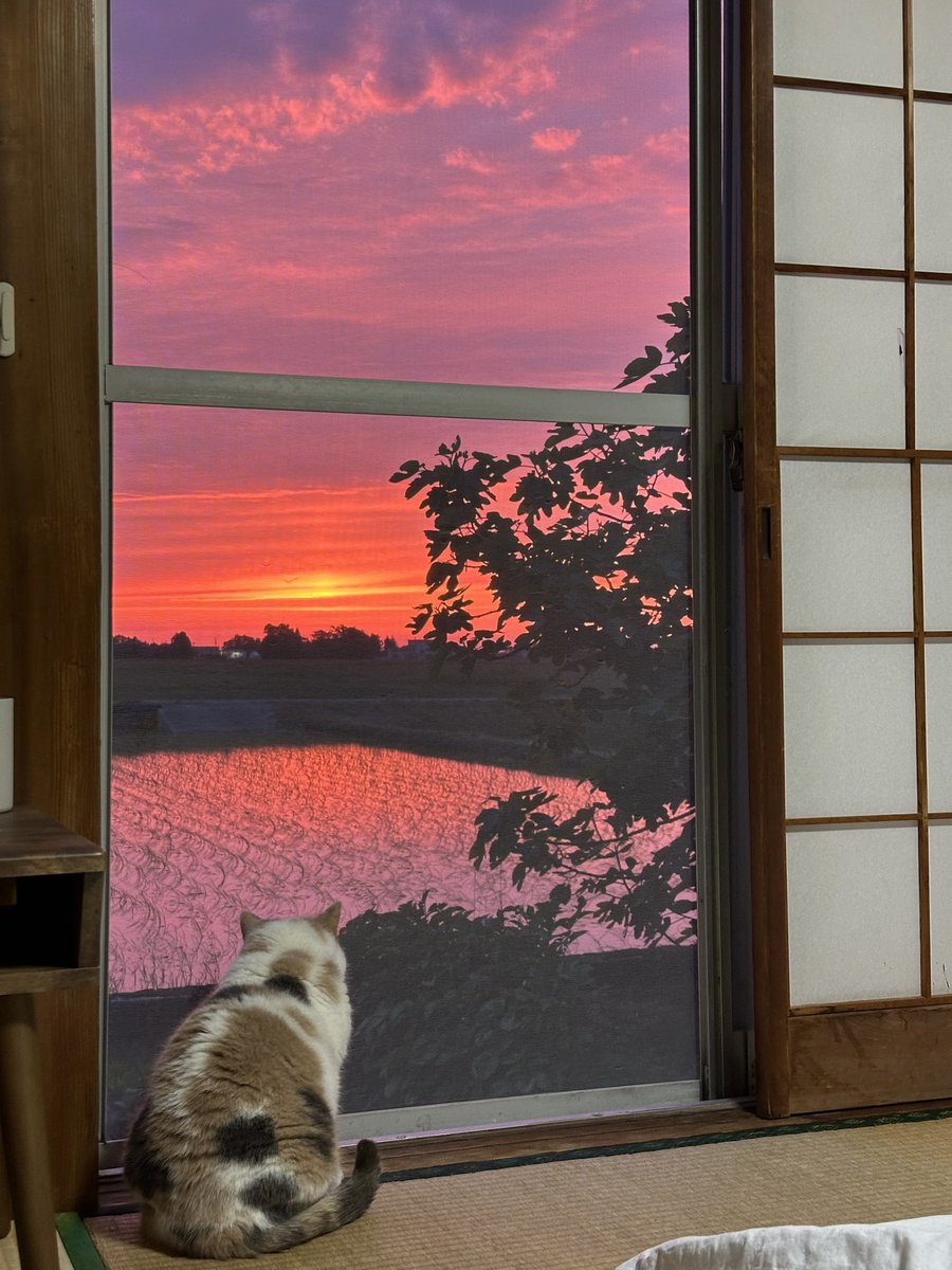 民泊たなごころ tweet media