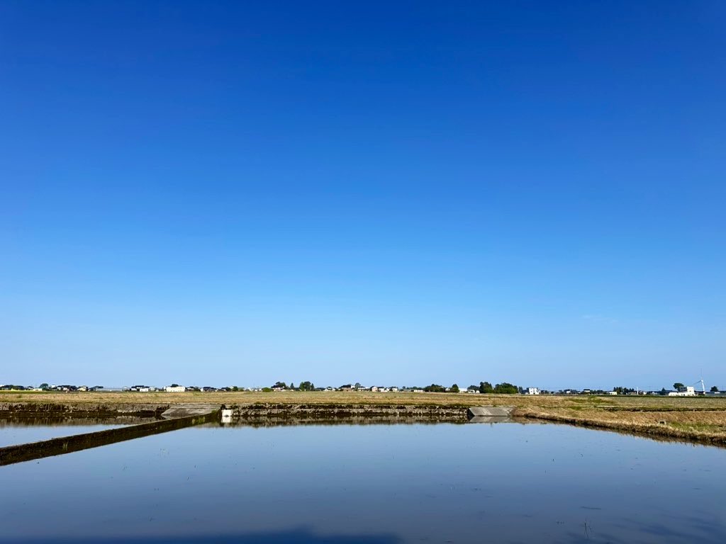 民泊たなごころ tweet media