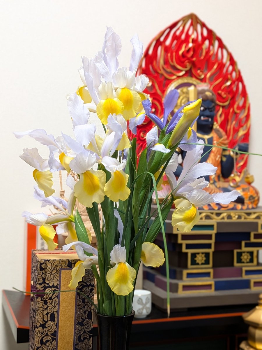 ご本尊さまに、とお花を頂戴しました♪
さっそくお供えいたしました🙏