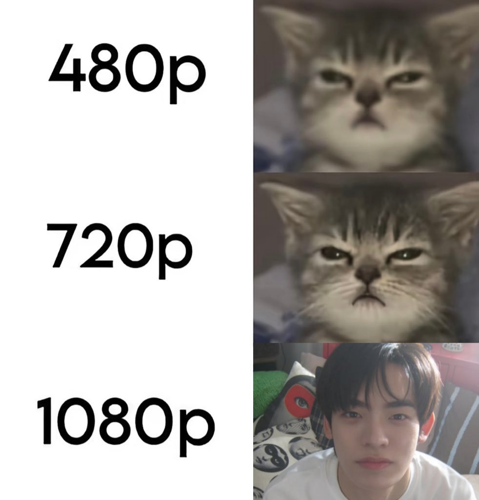 Acervo PorTeetee ✨ tweet media