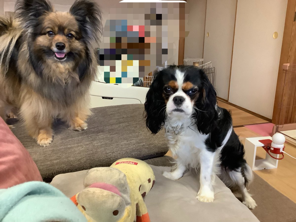 ∠あのん tweet media