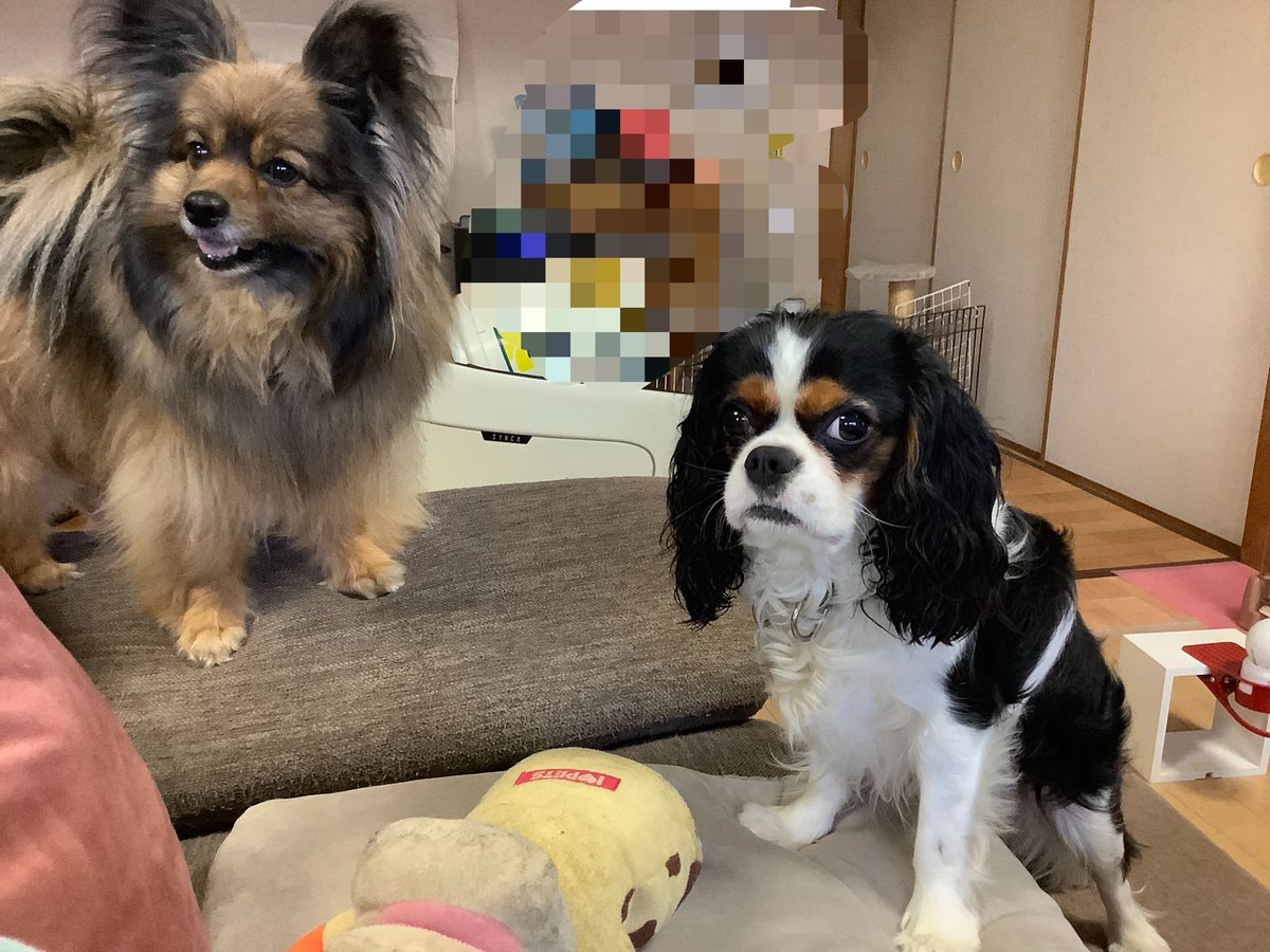 ∠あのん tweet media