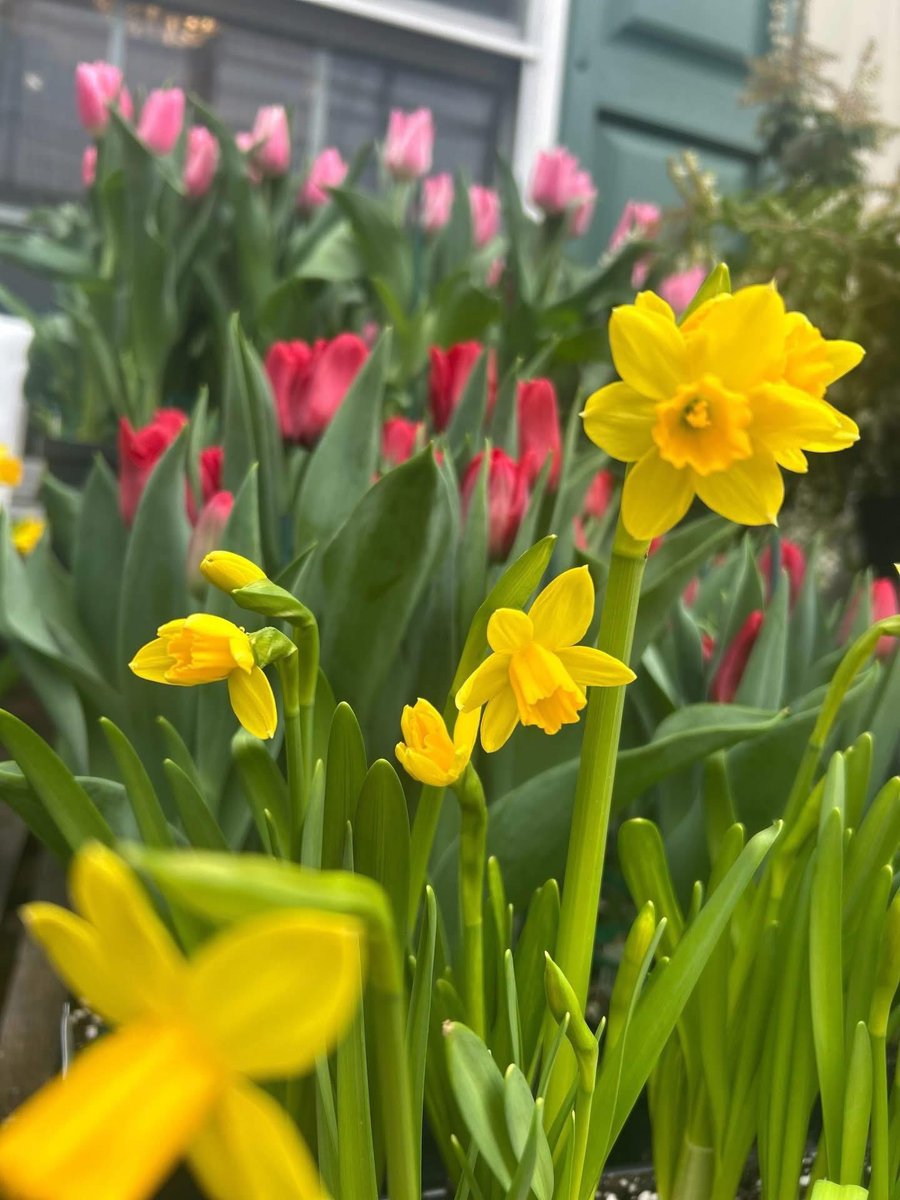 Lily 🇨🇦 tweet media