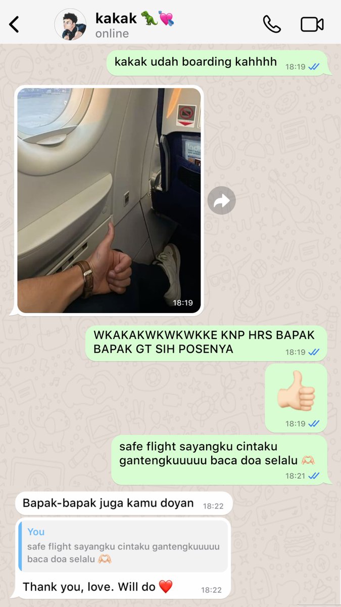 nausica 🐈‍⬛️ tweet media