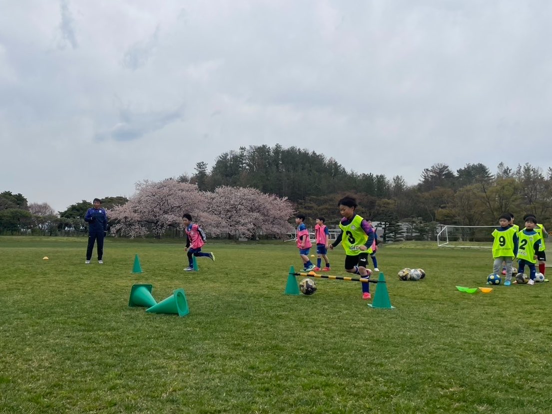 モンテディオ山形アカデミー tweet media