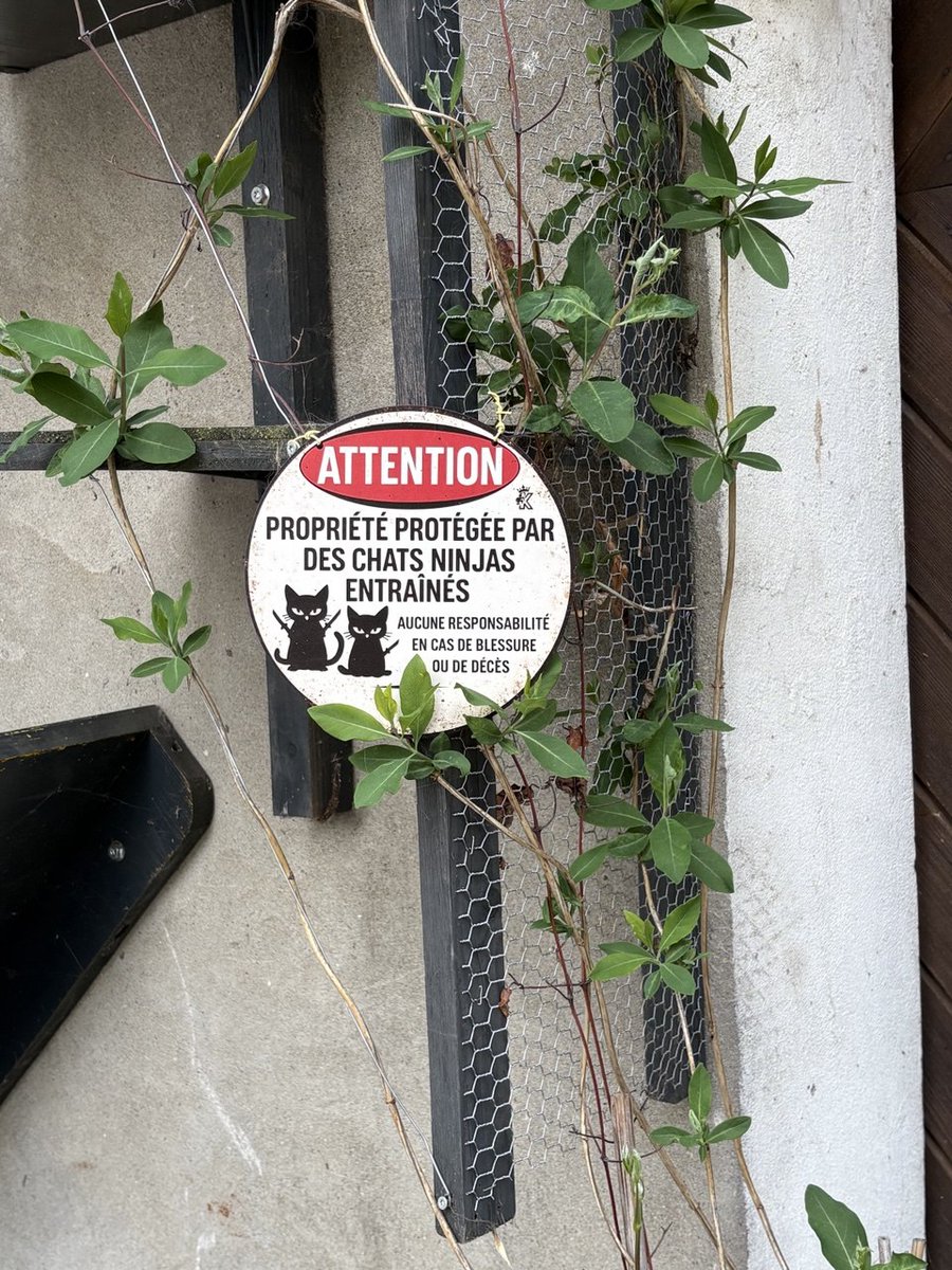 Cheekoh🇨🇭 tweet media