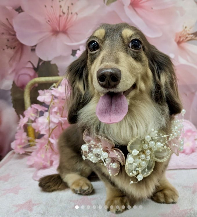 ずさし tweet media