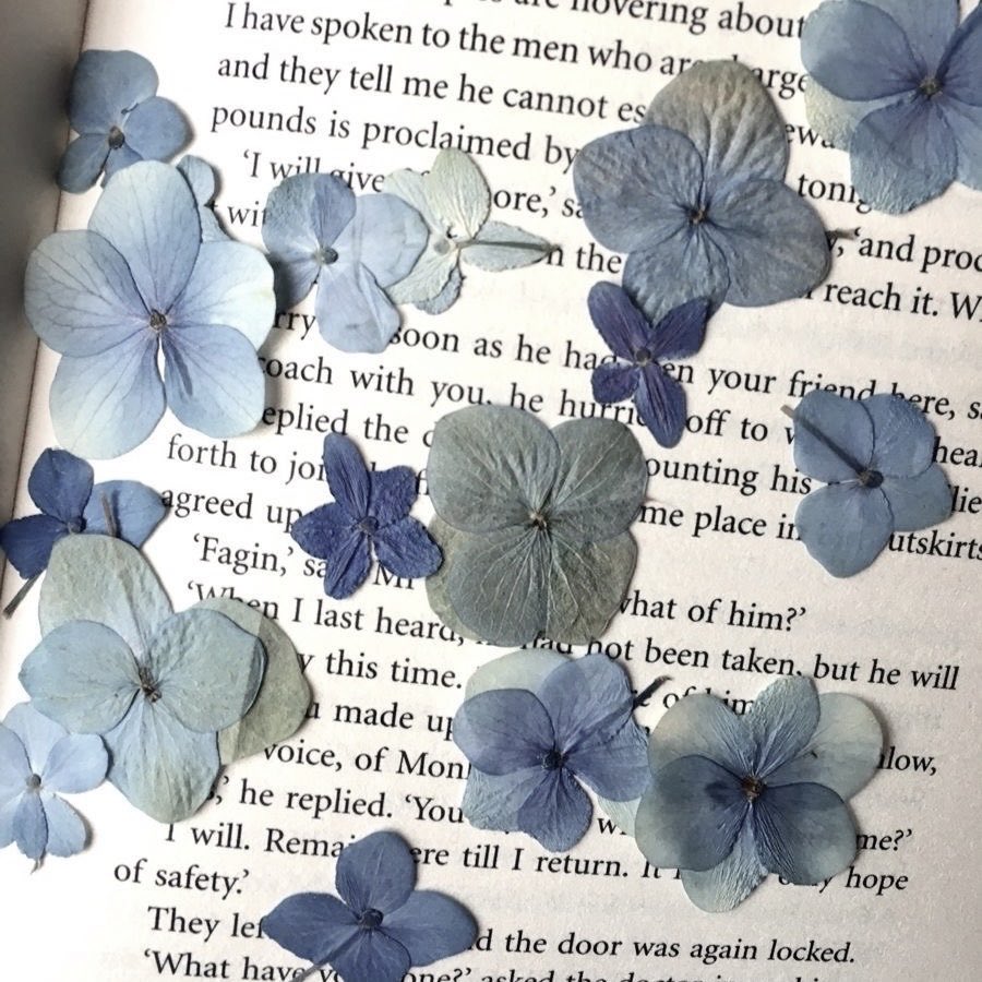 e.g.,  Pigment—O2.