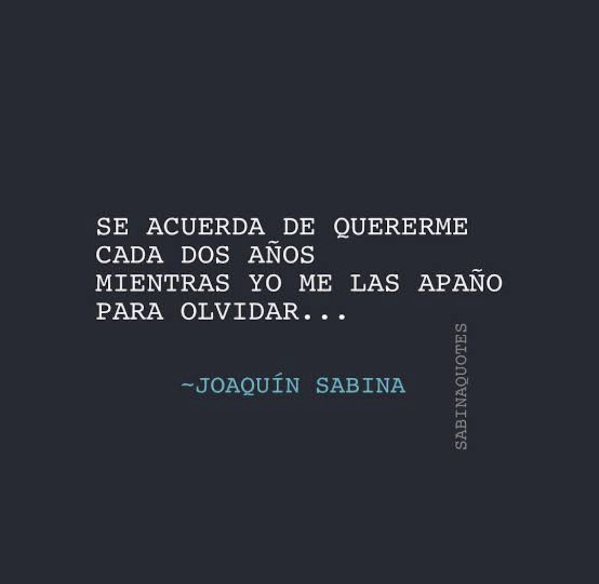 Sabina24/7 tweet media