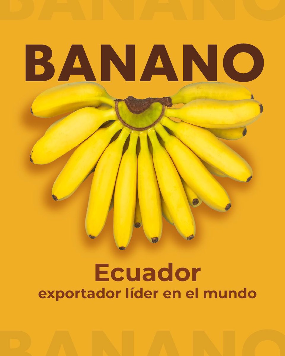 Ministerio de Producción tweet media