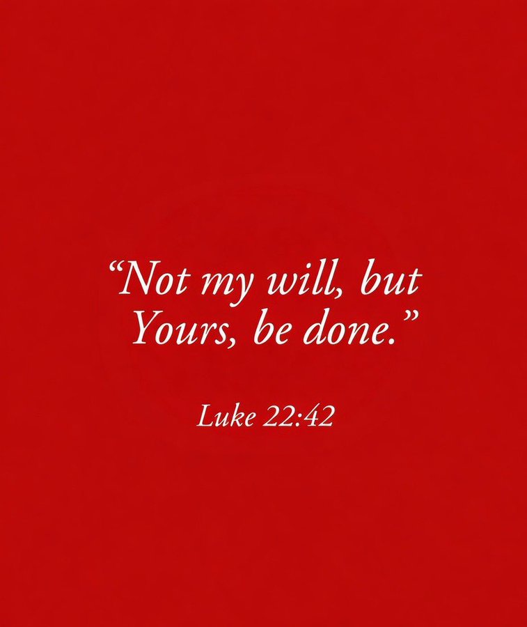 Bible 365 (@bible365_) on Twitter photo 