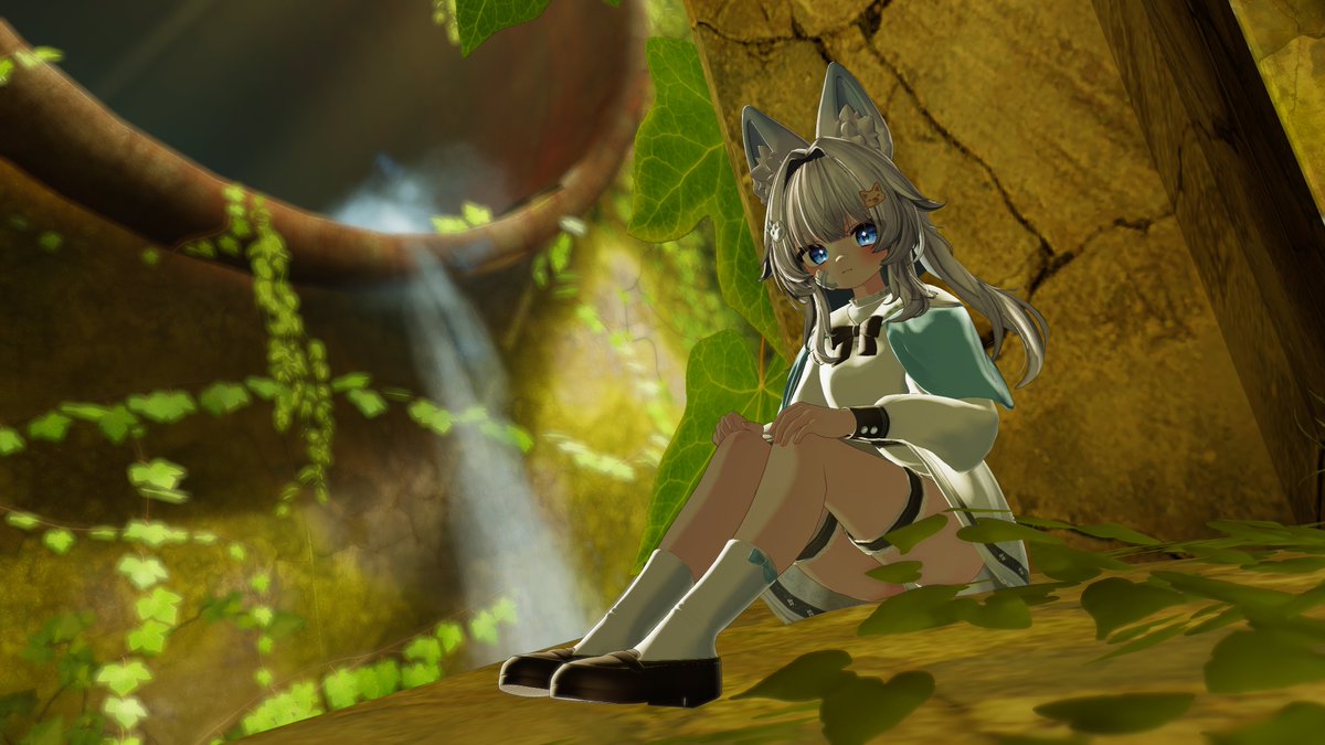 이로🐾 tweet media