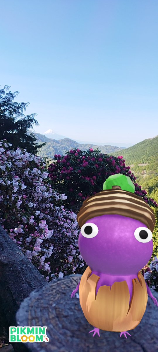 🚜WA480🌱ツバメ応援隊まゆーぞ🕊 tweet media