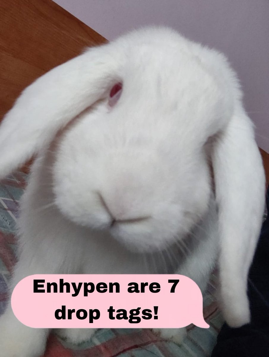 ShineForshadow_'s tweet photo. Yall listen to my bunny pls 🙏🏻

#OurHomeIsWithSevEN
#BELIFT_Financial_Boycott https://t.co/FWvGhr2joI