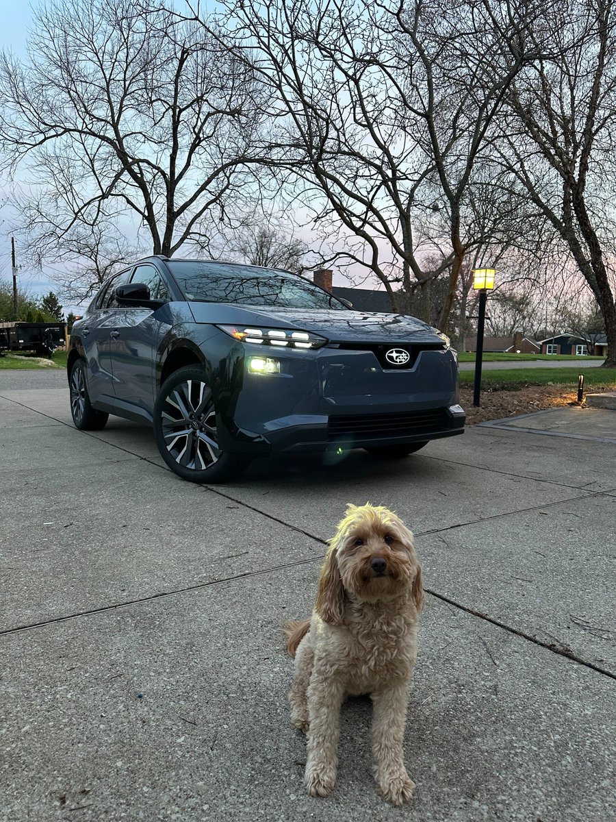New whip, who dis? 📞Dobby wants to show off his brand-new 2026 Subaru Solterra (as all good dogs do)!