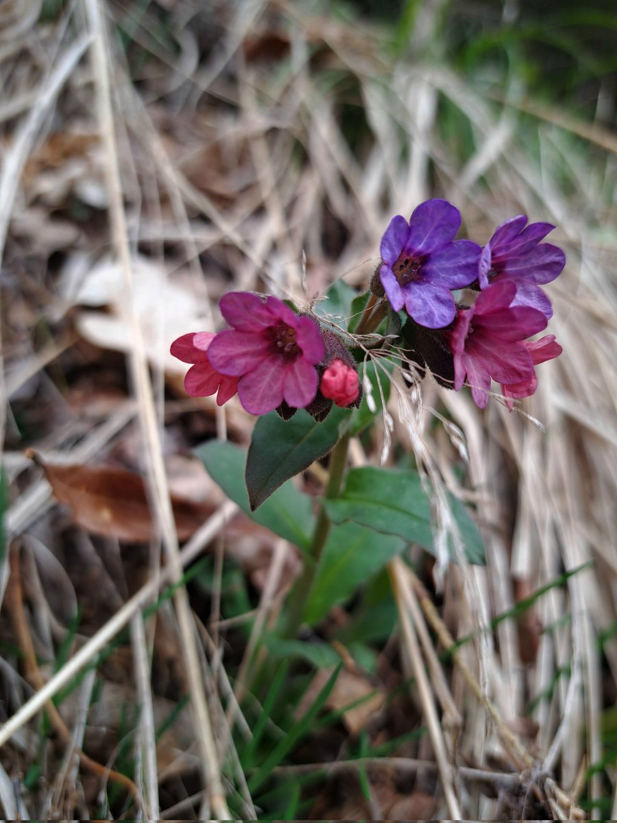 полночь🌙 tweet media