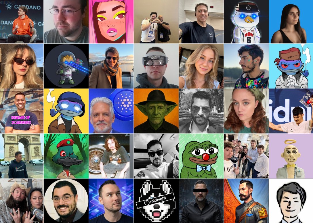 TapTools tweet media