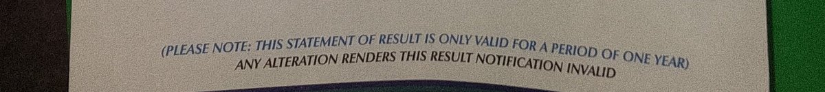 Grayce boy🐾 tweet media