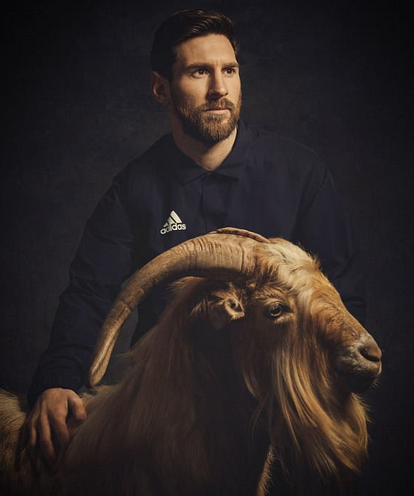 Sur le chemin du retour tweet media