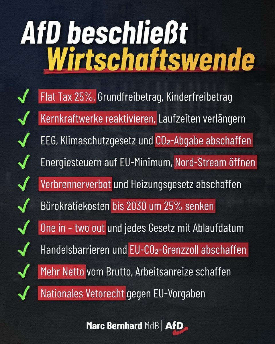 Christian Abel AfD tweet media