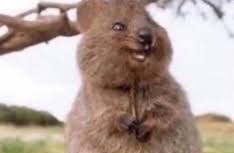 موني💙🤍🥈 tweet media