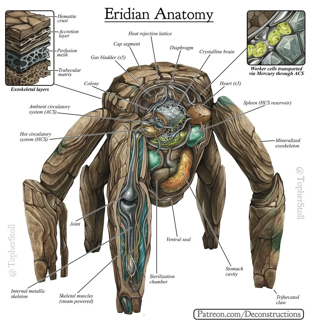 Sci-Fi Archives tweet media