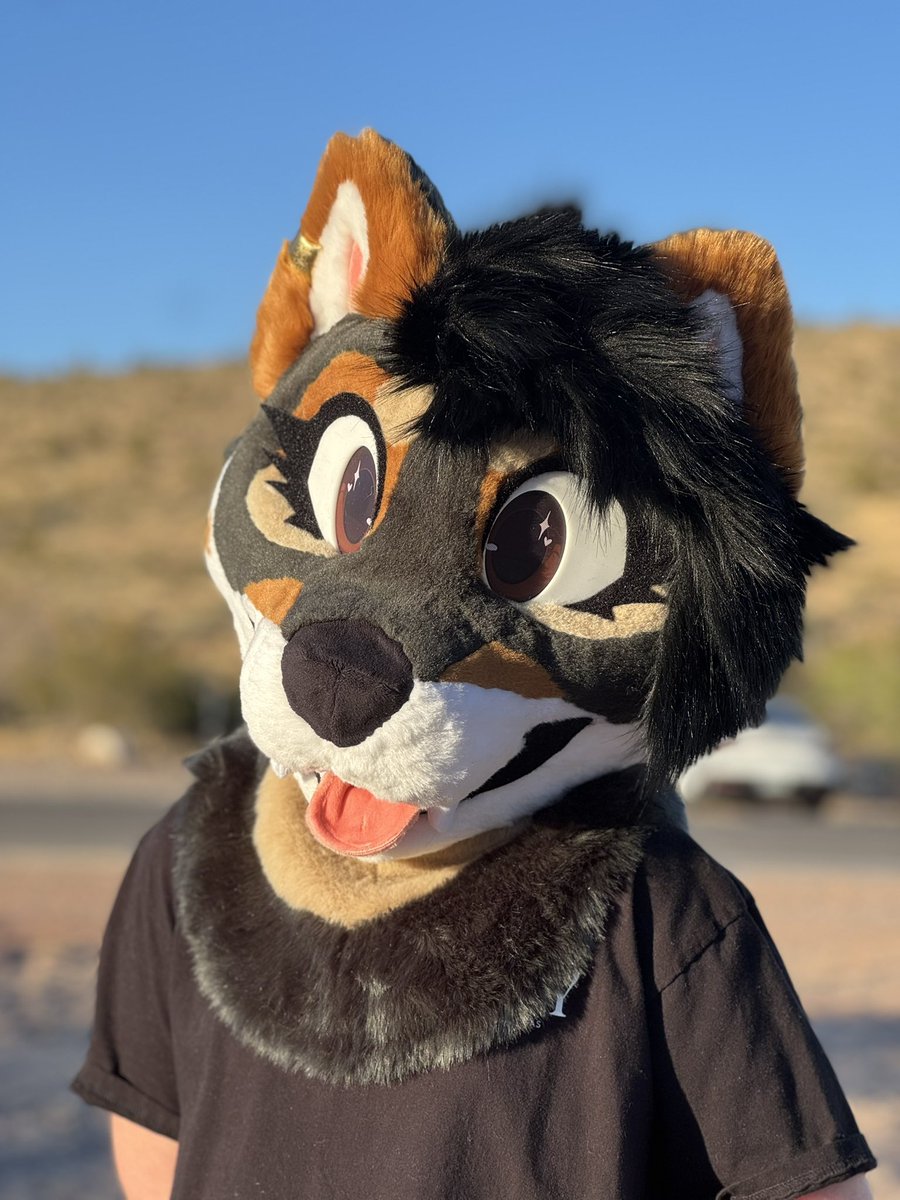 Suits By Cedar 🌵🐾 tweet media