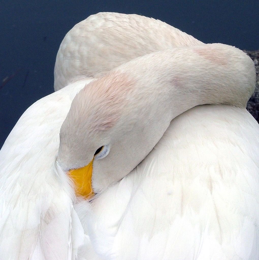 Lily ✮⋆˙ tweet media