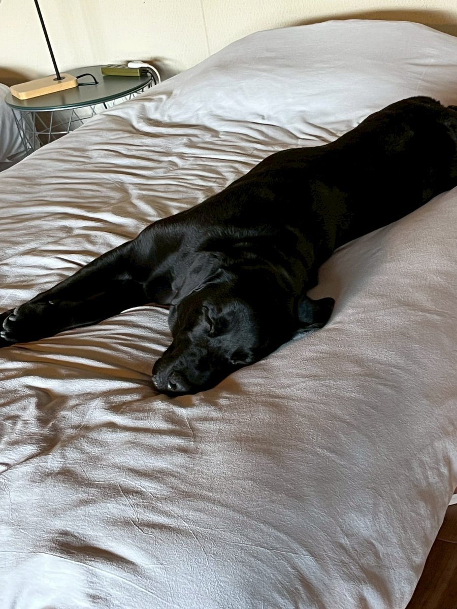 風人@ダルシムと格闘中🤛 tweet media