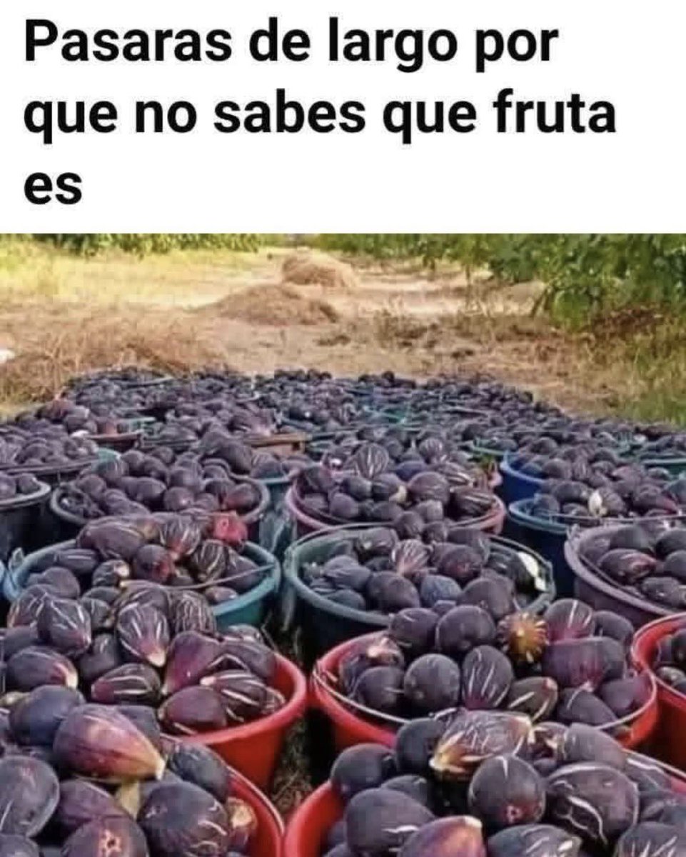 Diego Royet tweet media