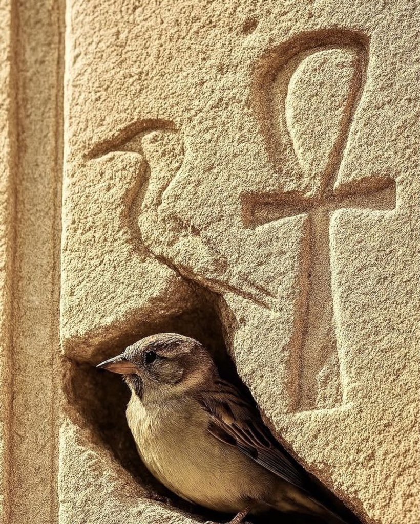 ContextBirds's tweet image. 