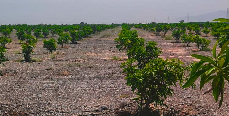 منى البلوشي🇴🇲 tweet media