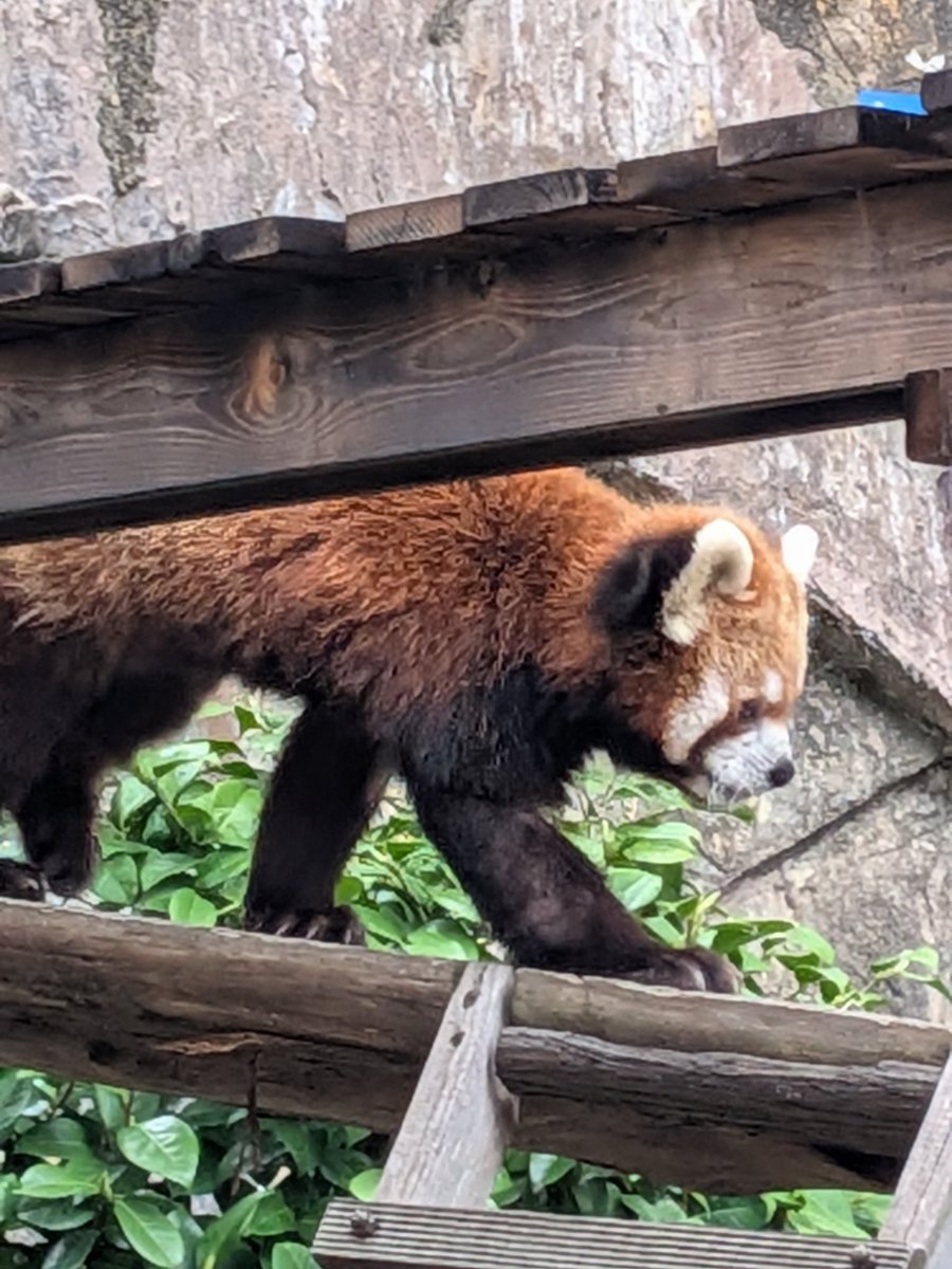 らふらんす（賢健❤大好き） tweet media