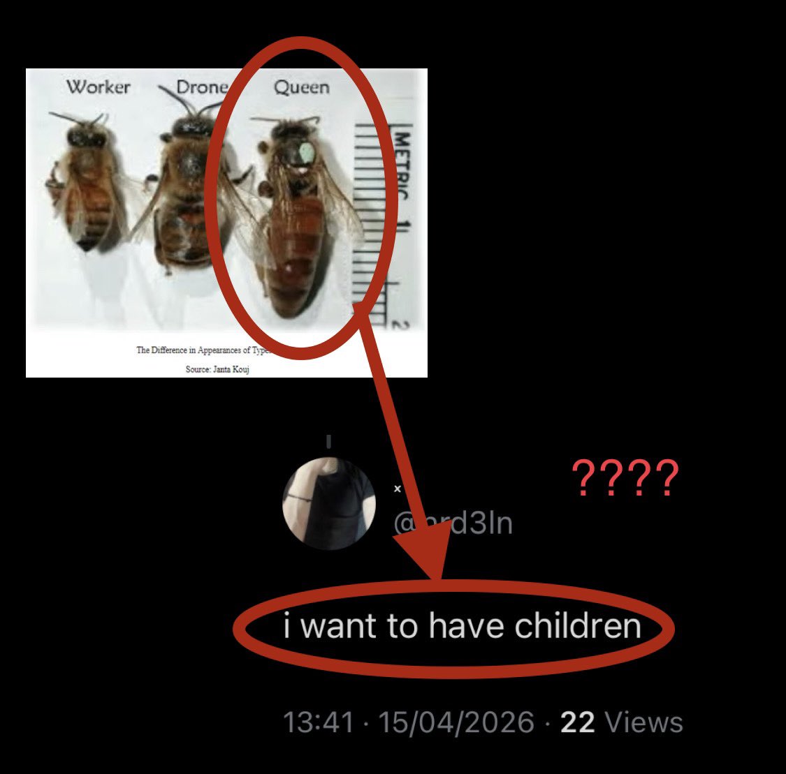 V4L3NTINOO tweet media