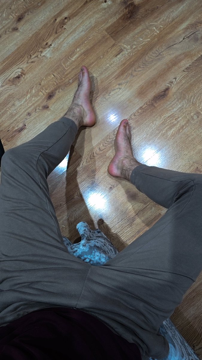 Pan_Janusz tweet media