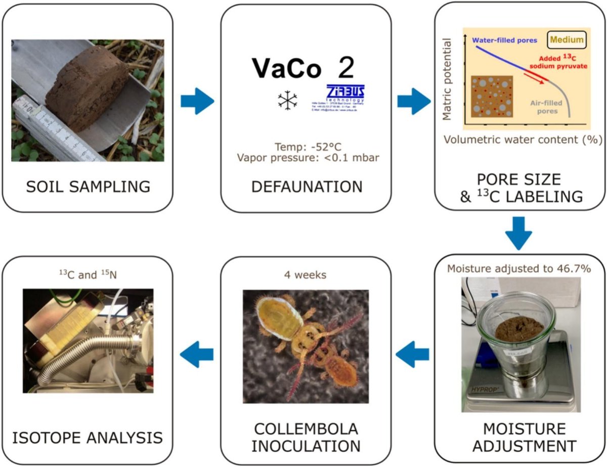 Geoderma - the global #OA journal of soil science tweet media