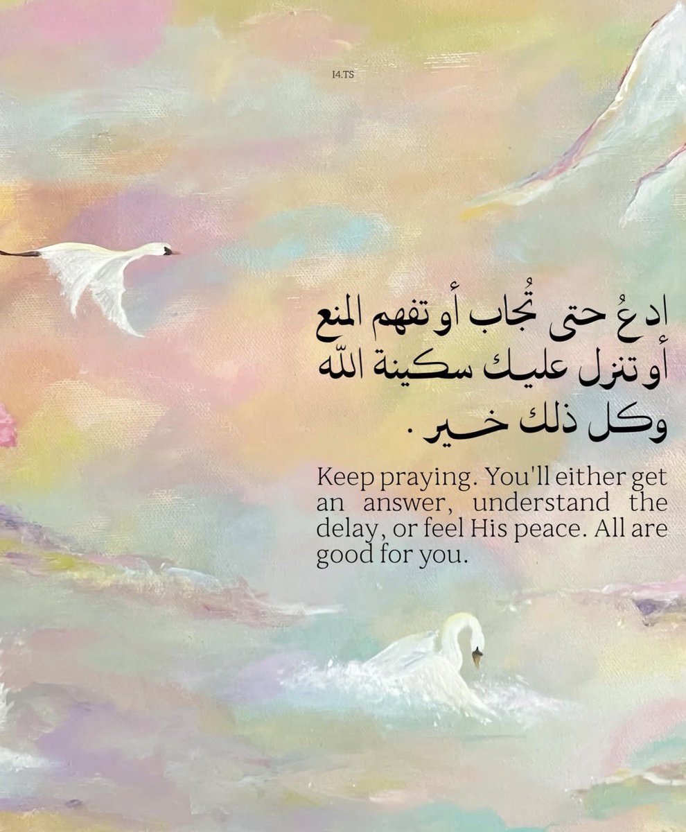 Nada Abdullah ؛ tweet media