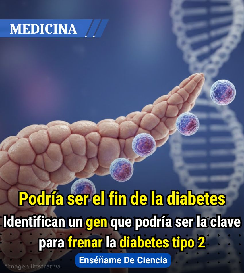 Enséñame de Ciencia tweet media