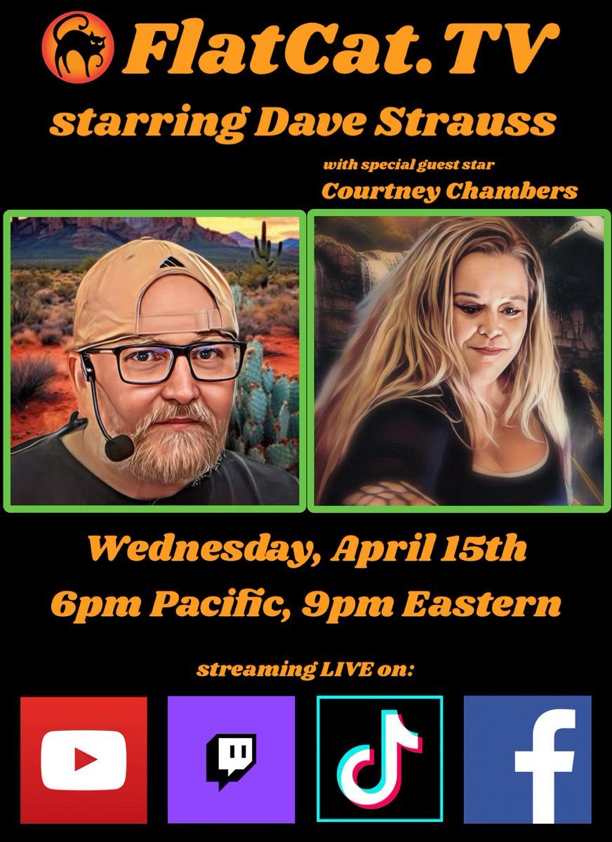 Flat Cat TV tweet media