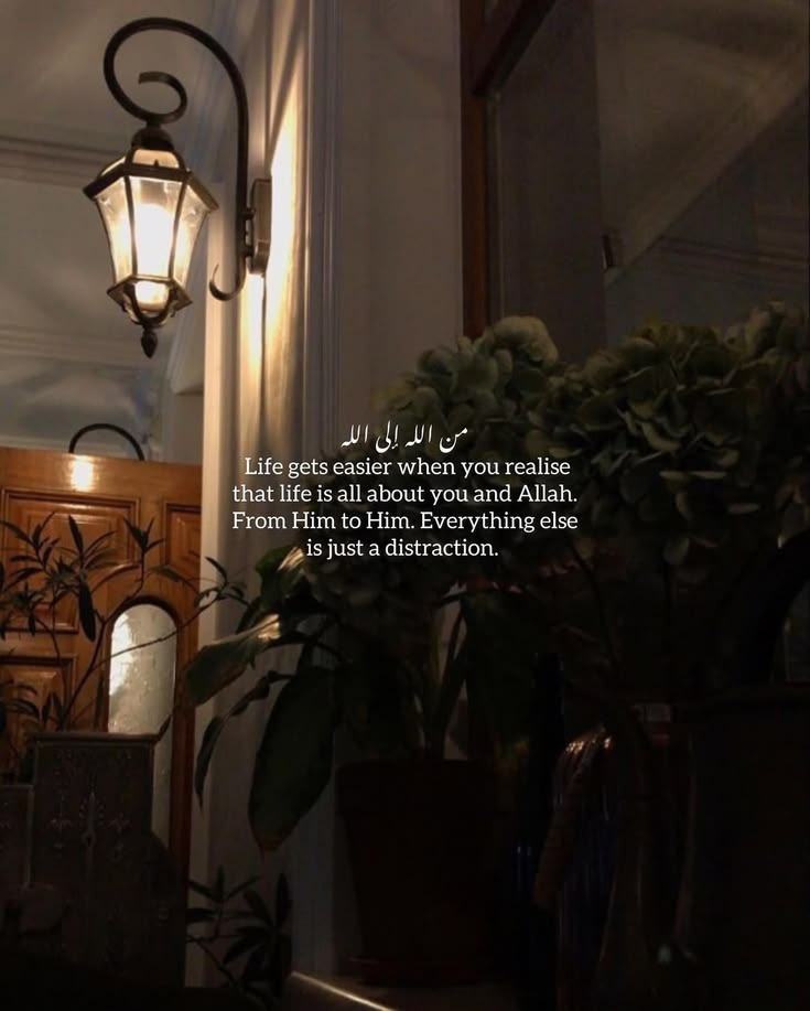 عرشي .Dr tweet media