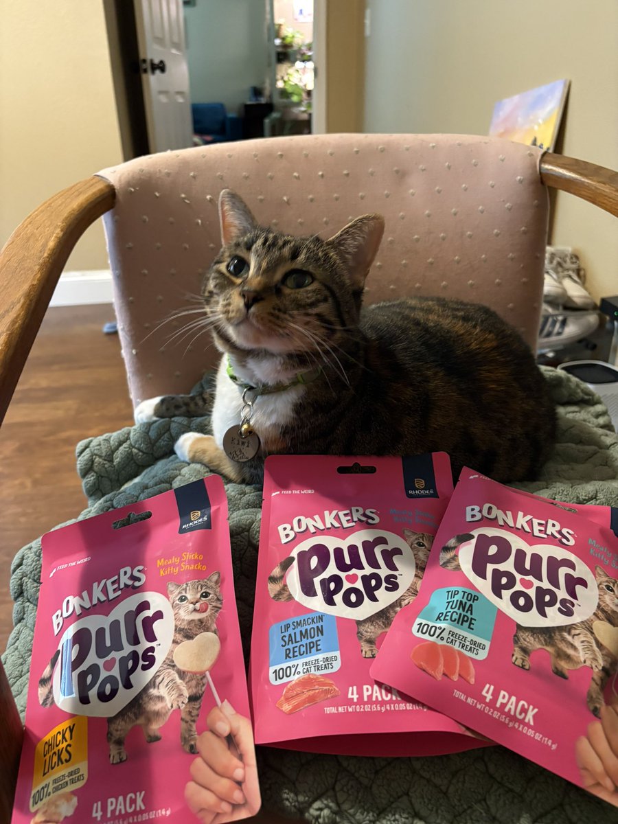 Kiwi 🥝 tweet media