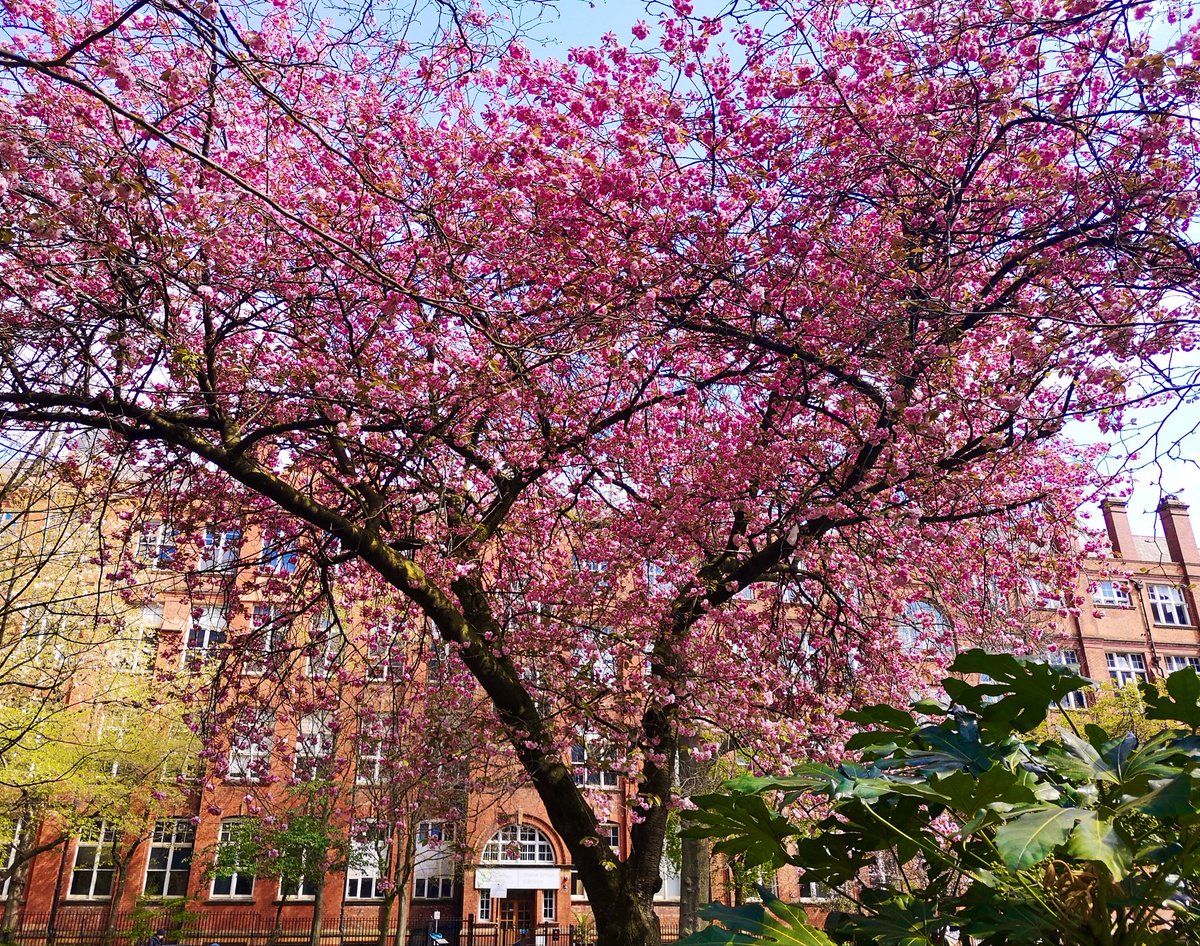 Jocaccia tweet media