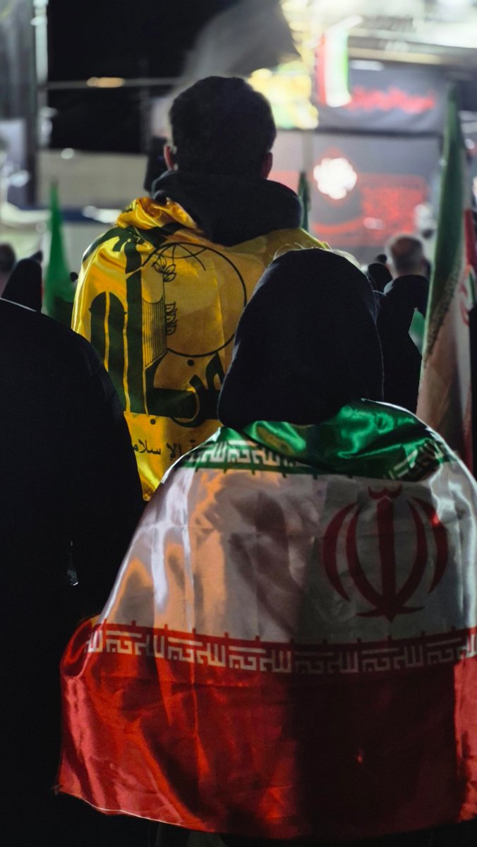 حمیدرضا م tweet media