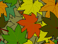 fatih kadir akın tweet media