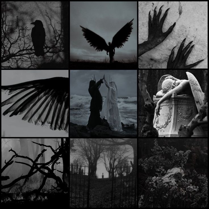 ALLY 𐙚 tweet media