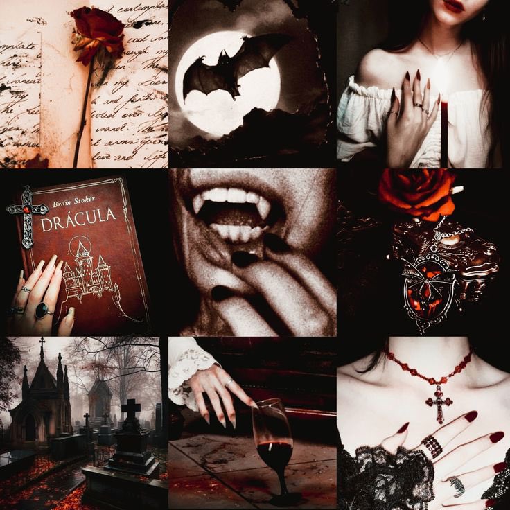 ALLY 𐙚 tweet media